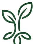The Evergreen Foundation